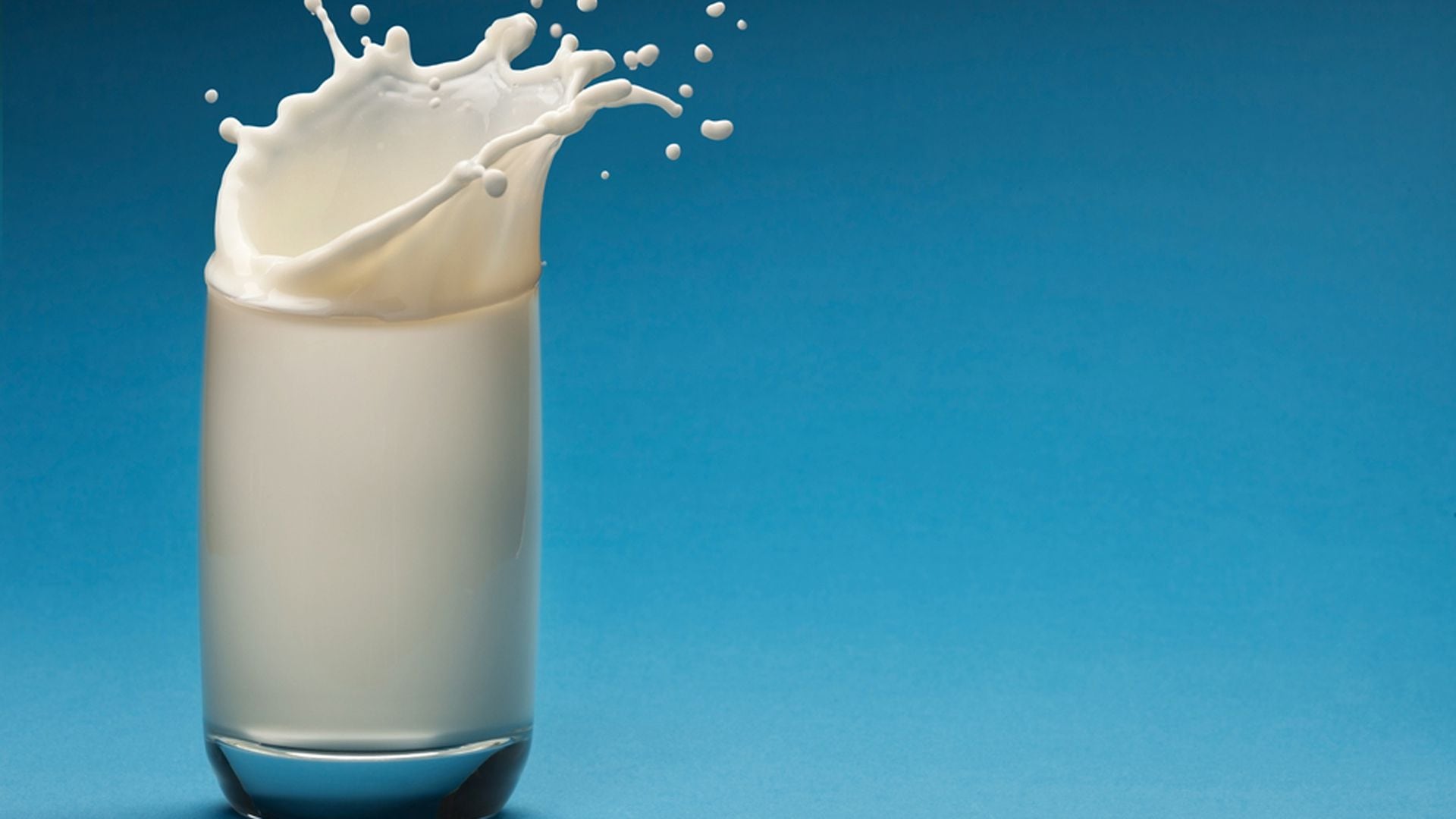 La leche de cucaracha tiene más propiedades que la de la vaca (Shutterstock)