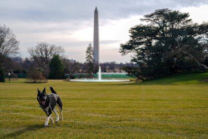 Major pasea por el Jardín Sur de la Casa Blanca 