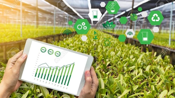 Machine Learning y IoT son grandes avances tecnológicos que de a poco se van implementando en el sector agrícola