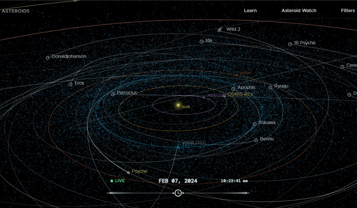 Con Eyes on Asteroids de la NASA, es posible observar todos los asteroides y cometas cercanos a la Tierra conocidos mientras orbitan alrededor del Sol. (NASA)