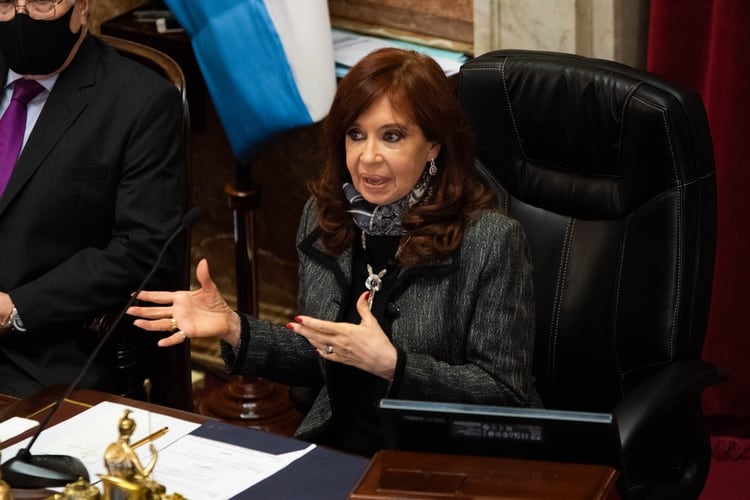 El rol de Cristina Kirchner será clave para inclinar la balanza en el Senado (Franco Fafasuli)