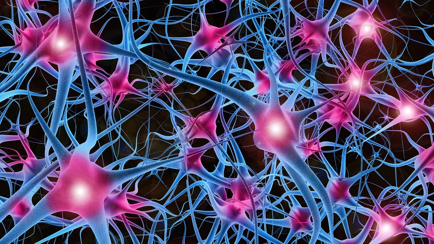 Нейронные связи. Нейронная сеть мозга. Клетки-сателлиты нейронов.