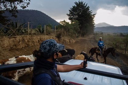 Policías comunitarios en Michoacán  (Foto: ANDREA MURCIA /CUARTOSCURO)