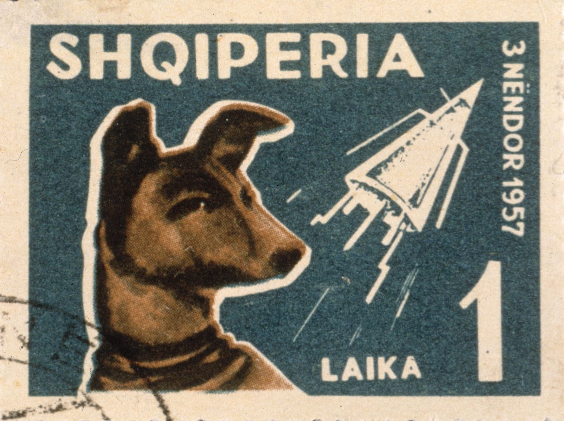 Лайка собака-космонавт марка