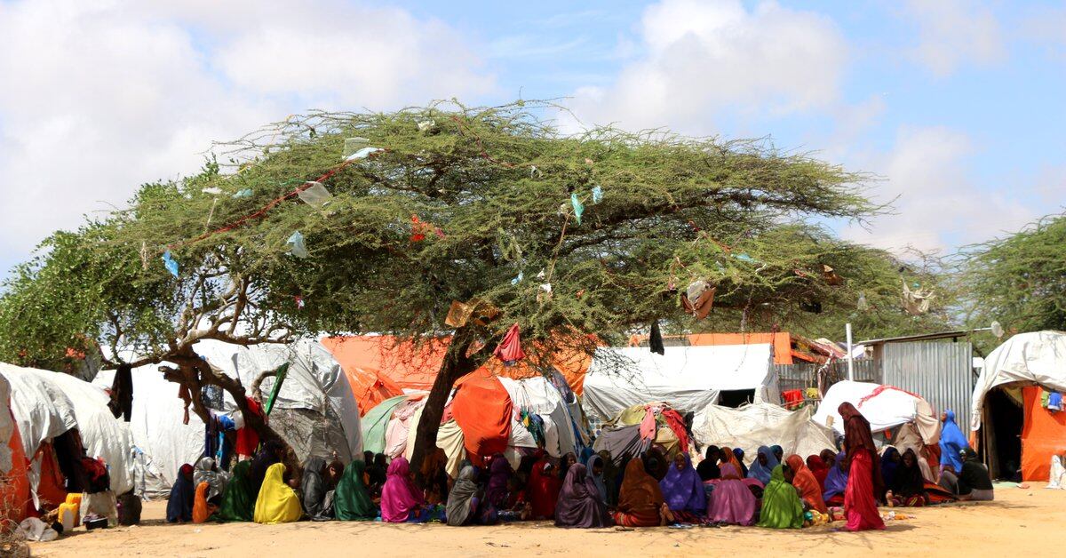 WFP could be forced to restrict humanitarian aid in Somalia due to lack of funds