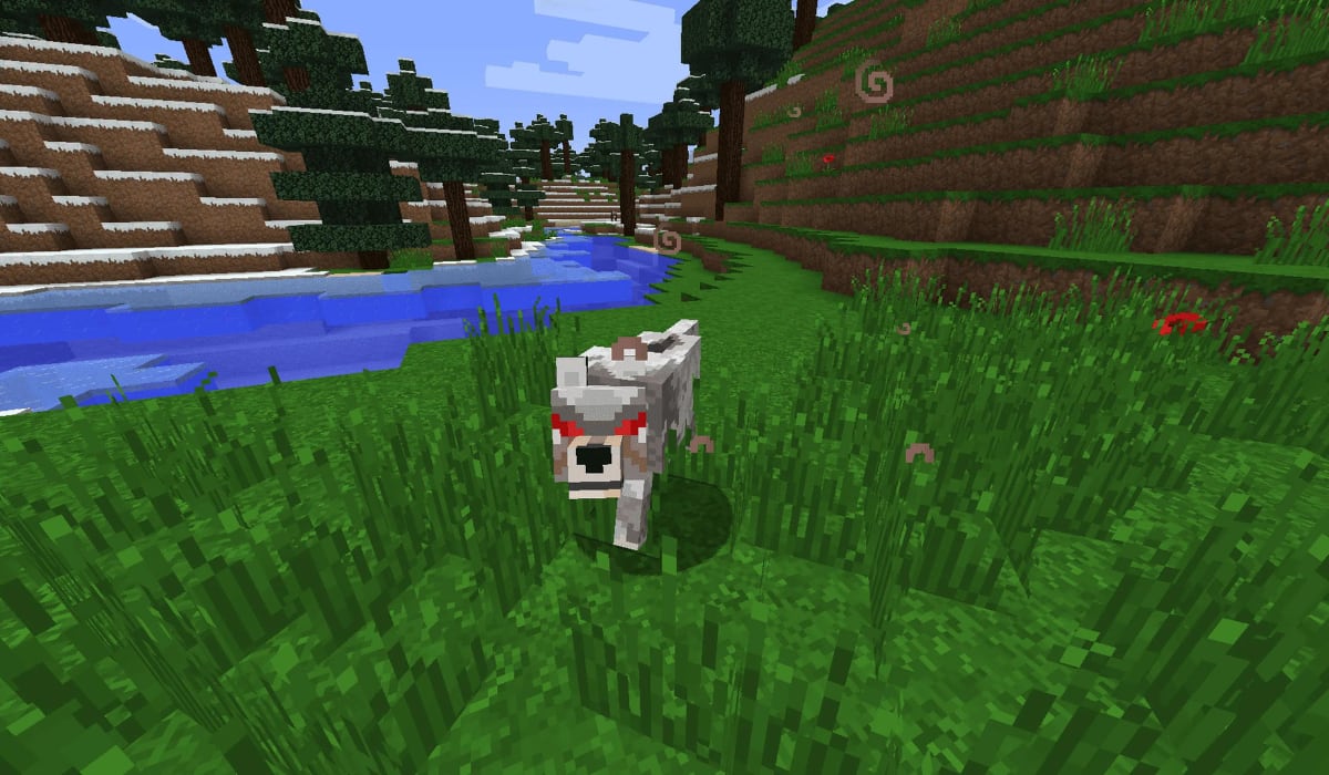 Los lobos solo se tornan hostiles cuando son atacados por el jugador. (Minecraft)