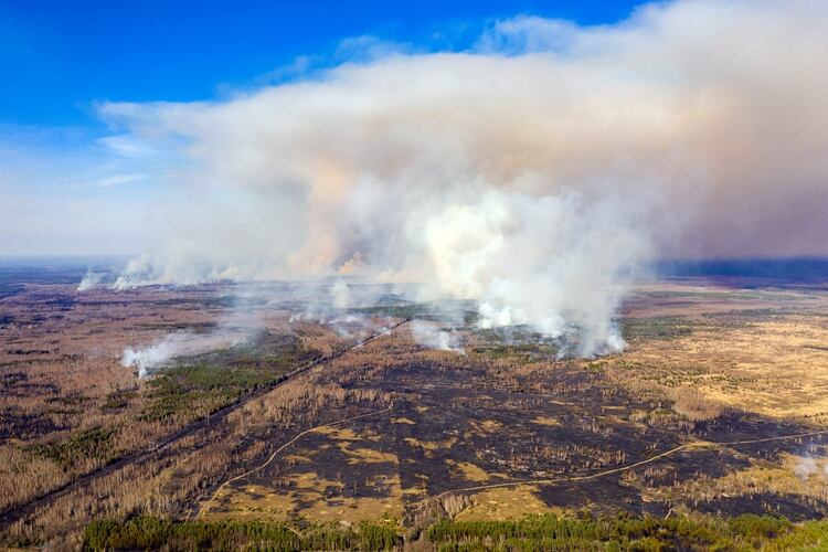 Esta fotografía aérea tomada el 12 de abril de 2020 muestra un incendio forestal que arde en la zona de exclusión de Chernobyl (Foto por Volodymyr Shuvayev / AFP)