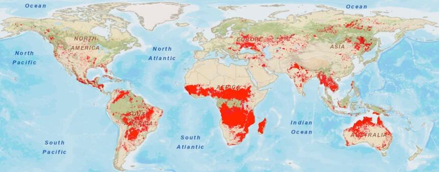 Figura 1. Área quemada en el mundo durante 2018 según el satélite MODIS de la NASA. El 70% de los incendios se dan en la sabana africana, rodeando al bosque tropical de la cuenca del Congo. Sistema EOS (LANCE) del Sistema de Información y Datos de Ciencias de la Tierra de la NASA