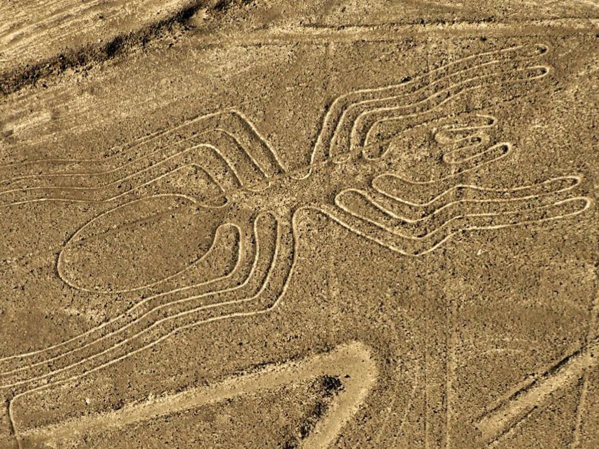 Se ha descubierto el auténtico significado de las líneas de Nazca - Infobae