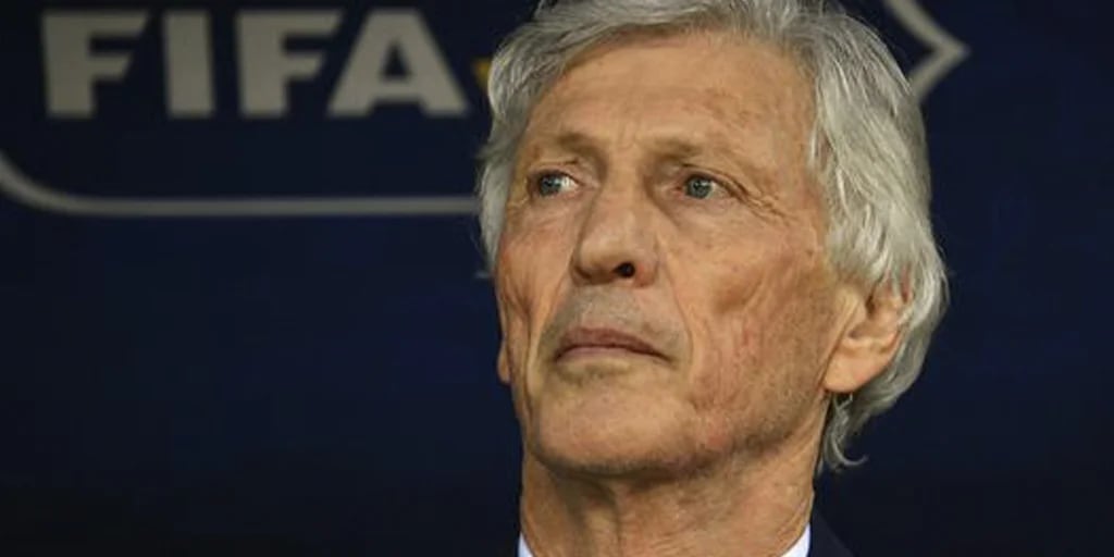 José Pekerman lamentó no ver a Perú en Qatar 2022: “Deseaba de corazón que  logre su participación” - Infobae