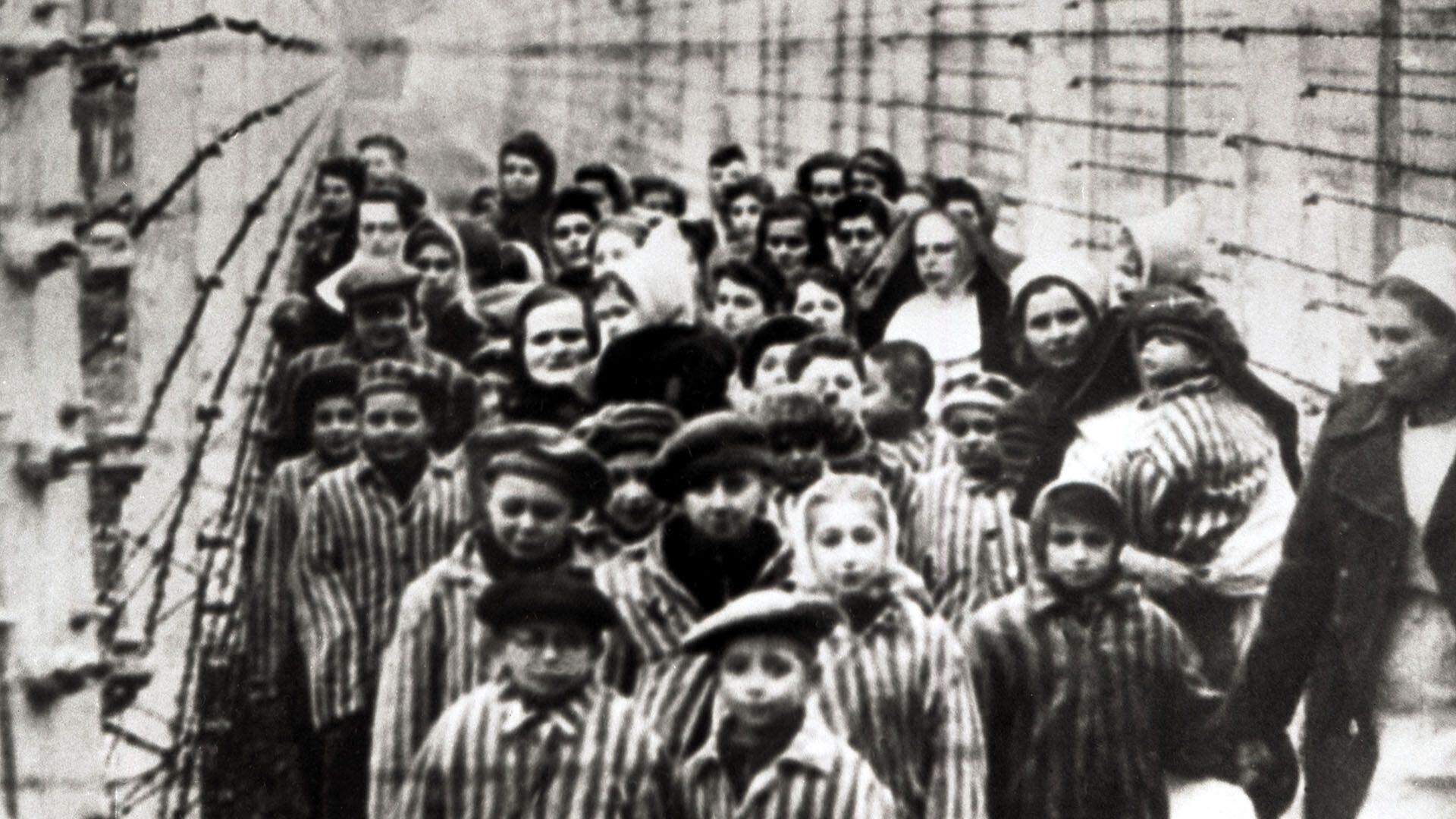 Liberacion de Auschwitz