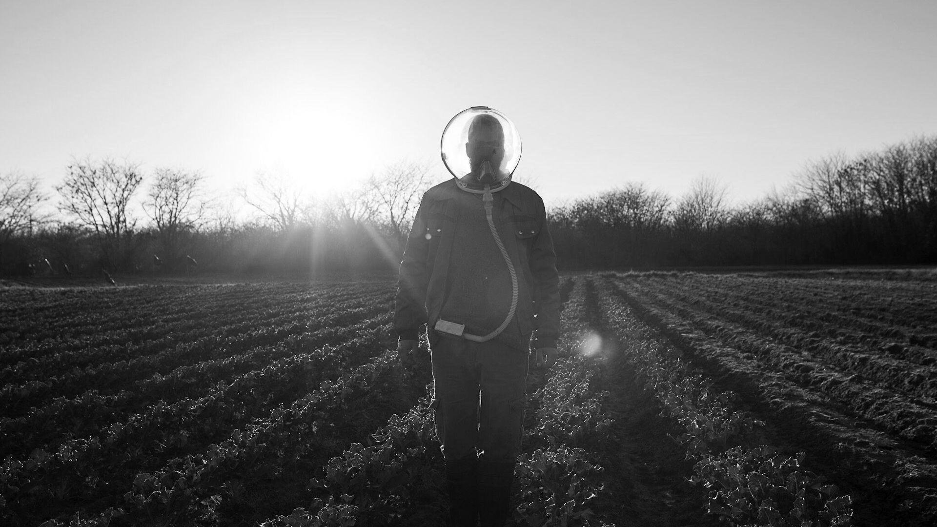 O cão interno do Flow