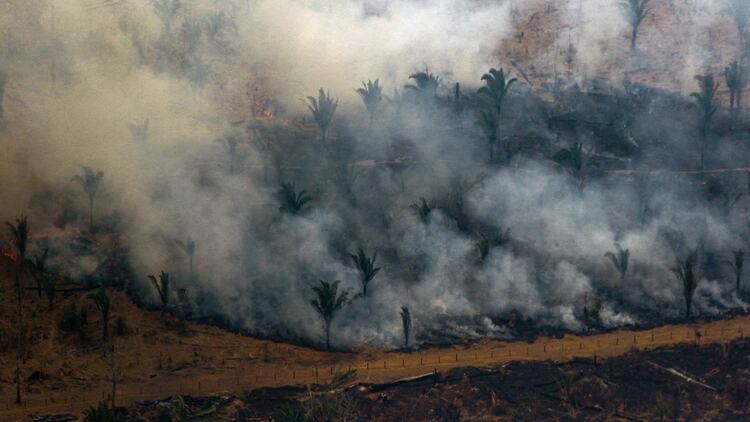 Vista aérea de los incendios en Boca do Acre, estado Amazonas (AFP)