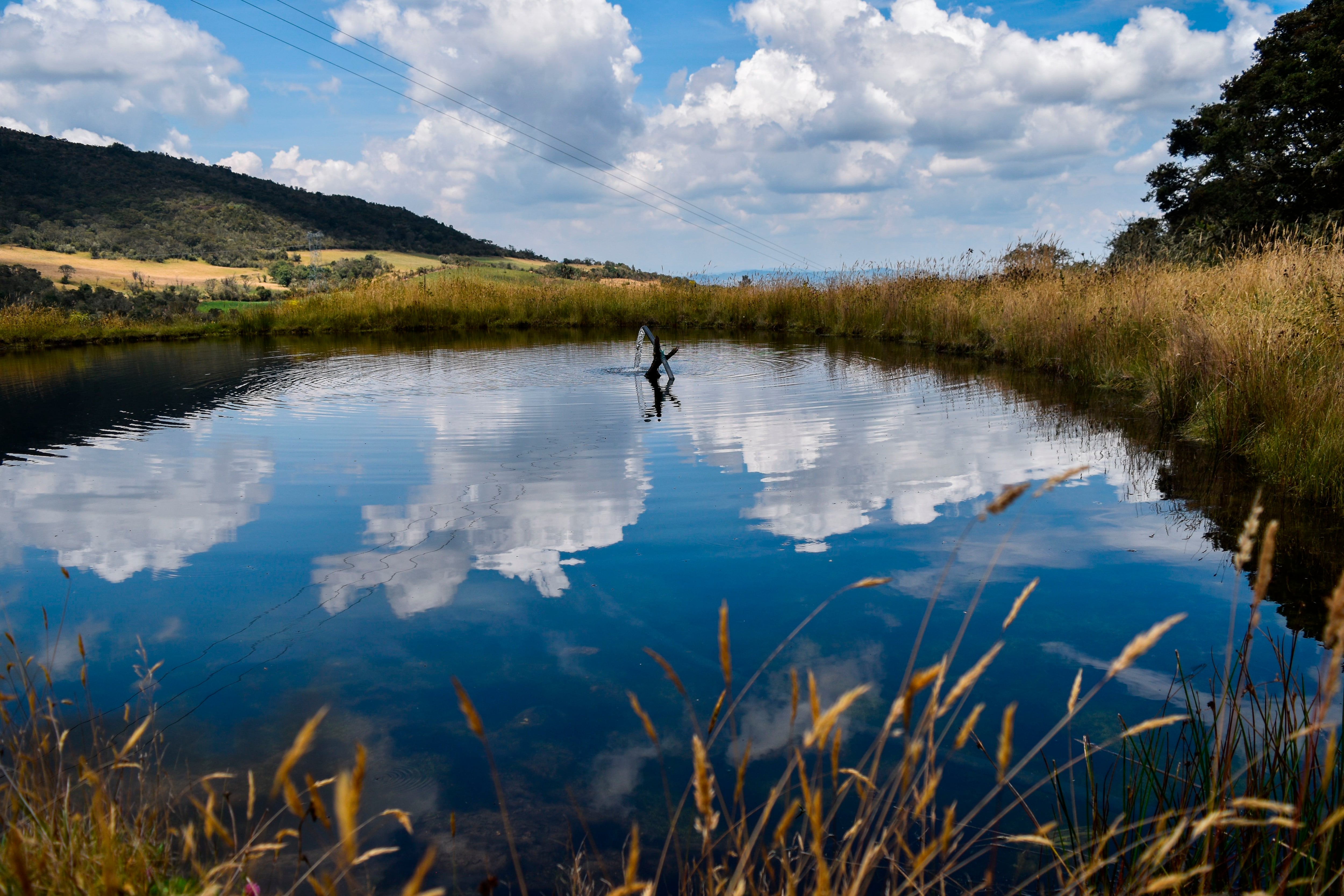 Ahorro del 100% del consumo de agua de riego gracias a la instalación de plantas nativas y autóctonas, es uno de los logros de L'Oreal (EFE/Camilo García/Archivo)
