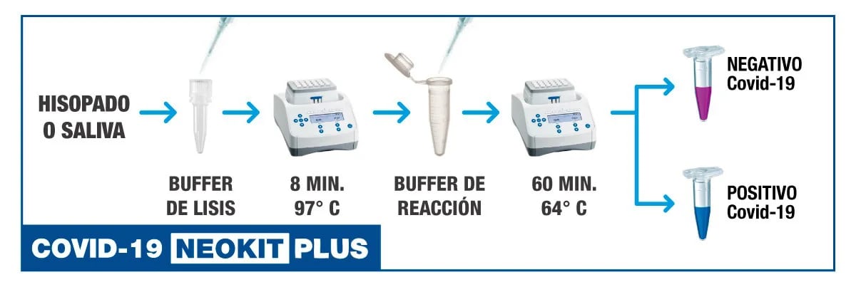 Funcionamiento del nuevo NEOKIT PLUS, desarrollado por científicos argentinos