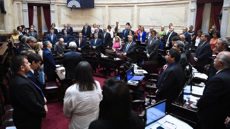 Tras sancionar la Defensoría del Niño, los senadores iban votar la ley de góndolas