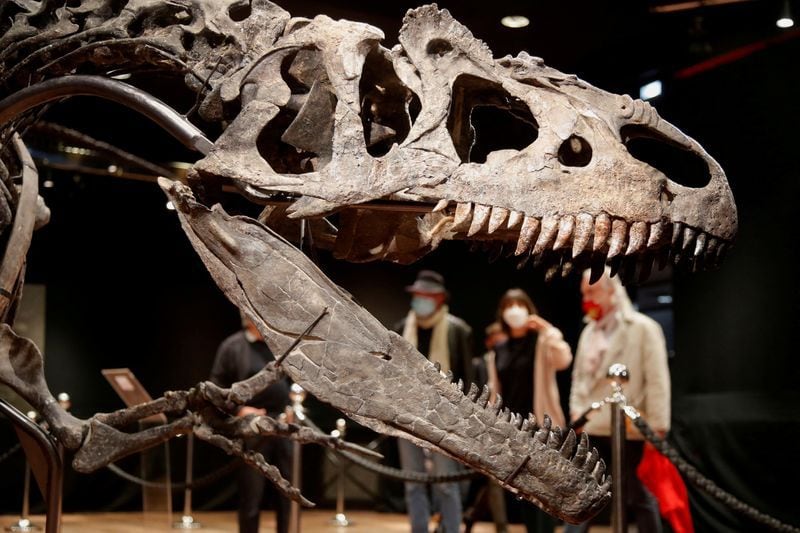 El Allosaurus también fue uno de los descubrimientos de Marsh. (REUTERS/Charles Platiau).