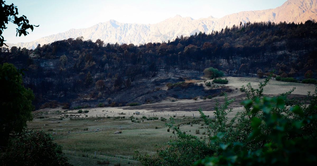A fire in Argentine Patagonia is still out of control after two weeks