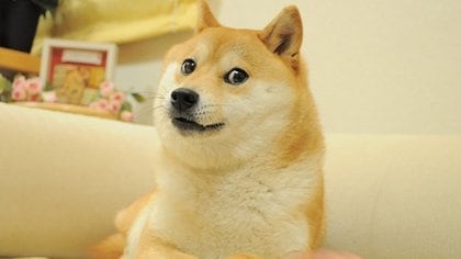 La imagen de "Doge" el perro se hizo viral en 2014