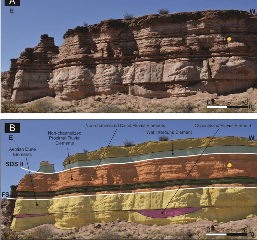 Identificaron que hay 3 niveles de capas en el terreno con huellas de dinosaurios/F. Azara