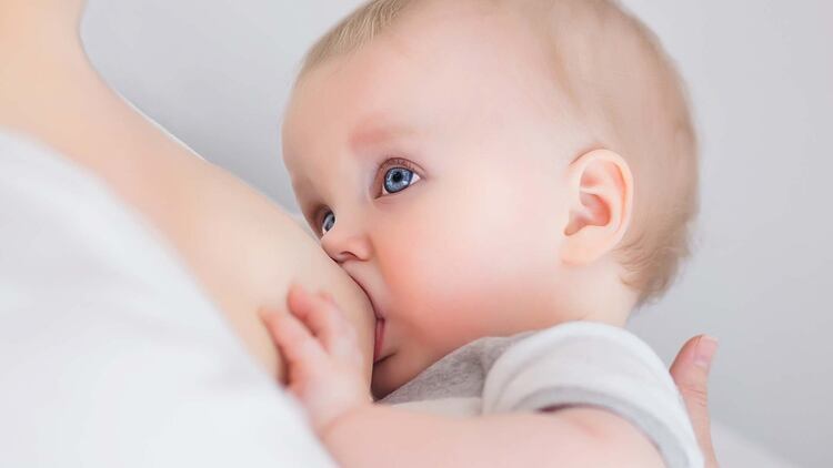 Sólo el 43,7% reportó haber sostenido la lactancia materna exclusiva (LME) durante los primeros seis meses (Shutterstock)