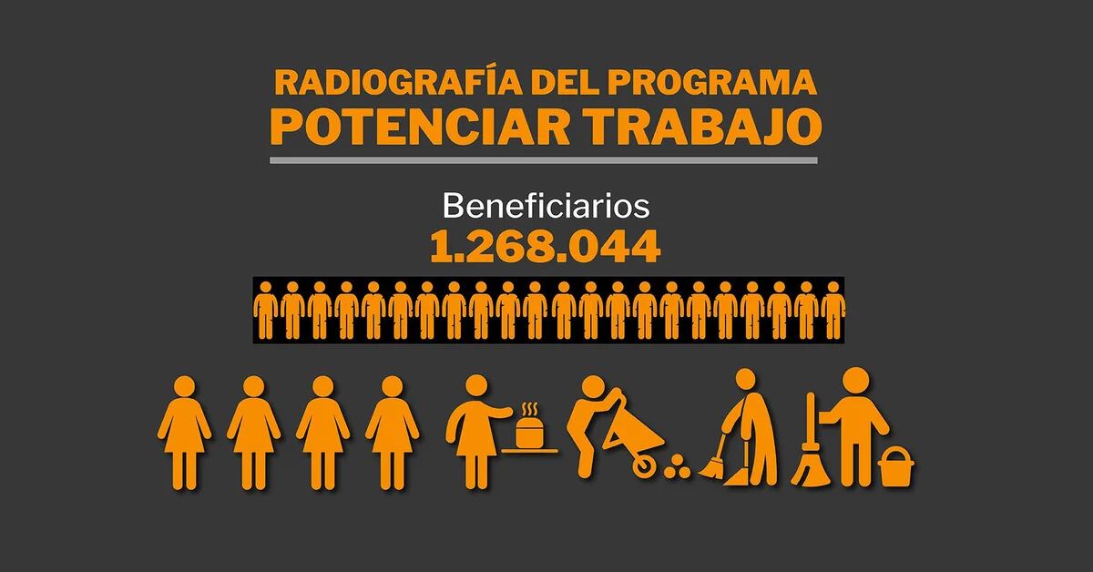 X-ray of Potenciar Trabajo: the majority are women, young, uneducated and perform community work