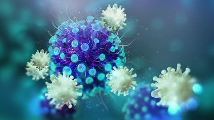 Según la comprensión actual del COVID-19, la morbilidad y la mortalidad asociadas con la enfermedad se deben tanto a la toxicidad directa del virus, así como a la respuesta inflamatoria del cuerpo que conduce a la “tormenta de citoquinas”. Allí el Ácido Eicosapentaenoico (EPA) puede desempeñar un papel beneficioso potencial en la prevención de la infección por SARS-CoV-2. (Shutterstock.com)