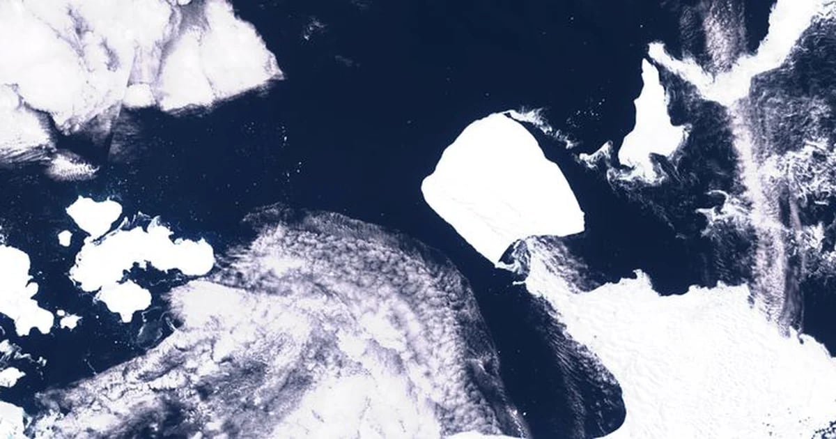 The world’s largest iceberg is moving for the first time in more than three decades: it is heading towards the Southern Ocean