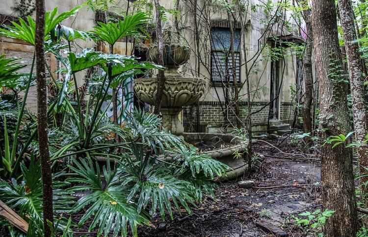 La naturaleza reclamó el patio central en un antiguo asilo de ancianos (Foto: Leland Kent)