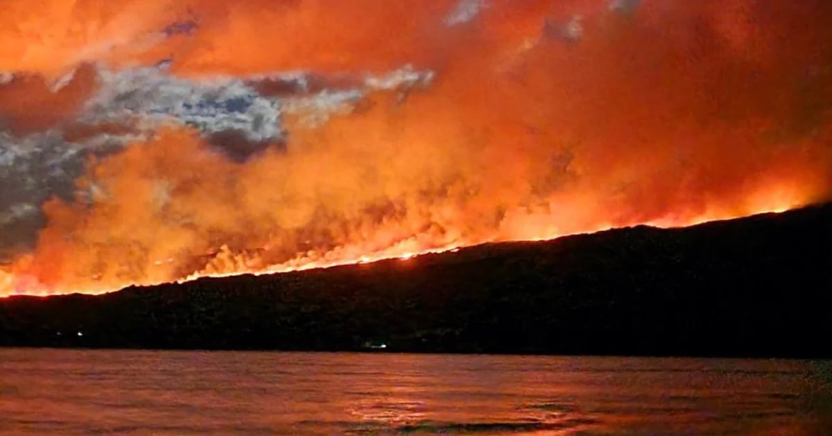 Why will fires in Patagonia become more frequent due to climate change?