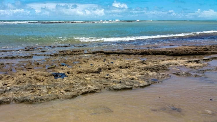 El estado de la playa de Pontal de Coruripe en el municipio de Coruripe, estado de Alagoas (AFP)