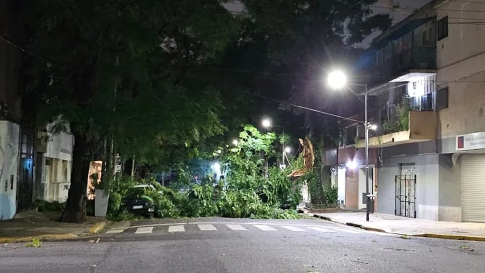 Hay árboles caídos, calles anegadas y vuelos desviados por el fuerte temporal que afecta al AMBA