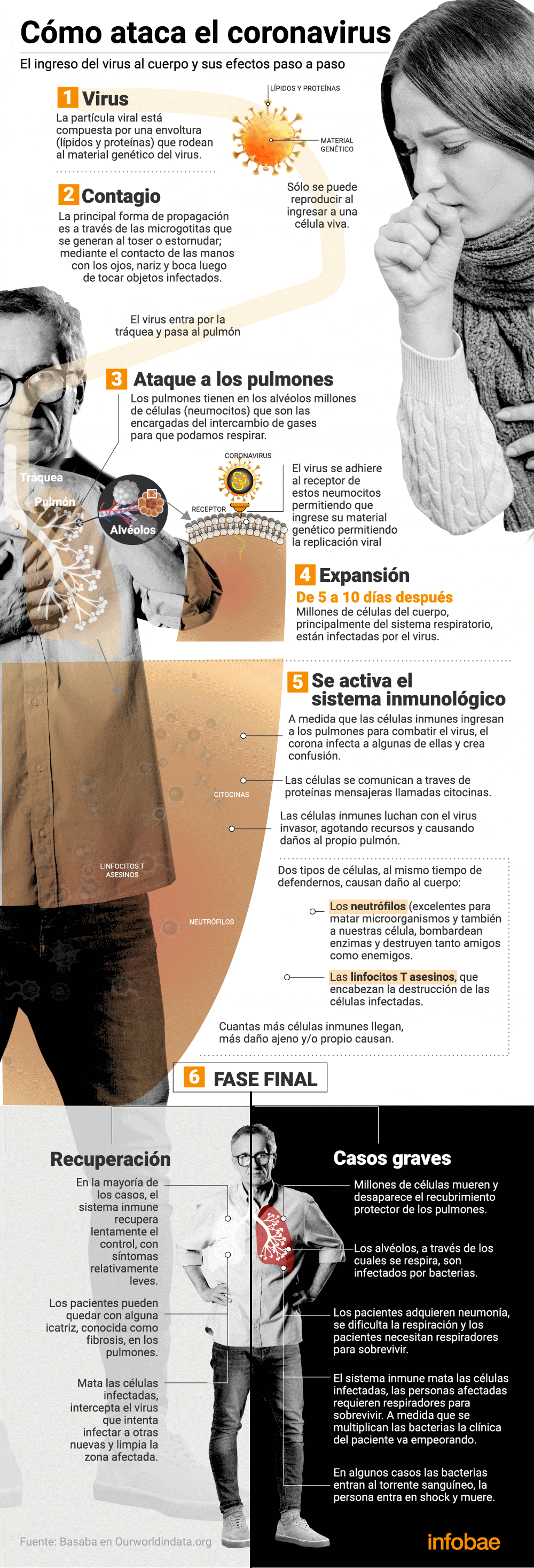 Cómo ataca el coronavirus (Infografía: Marcelo Regalado)
