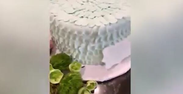 Los seguidores de Jenner se percataron horrorizados de la presencia de una cucaracha junto a la base de la tarta azul