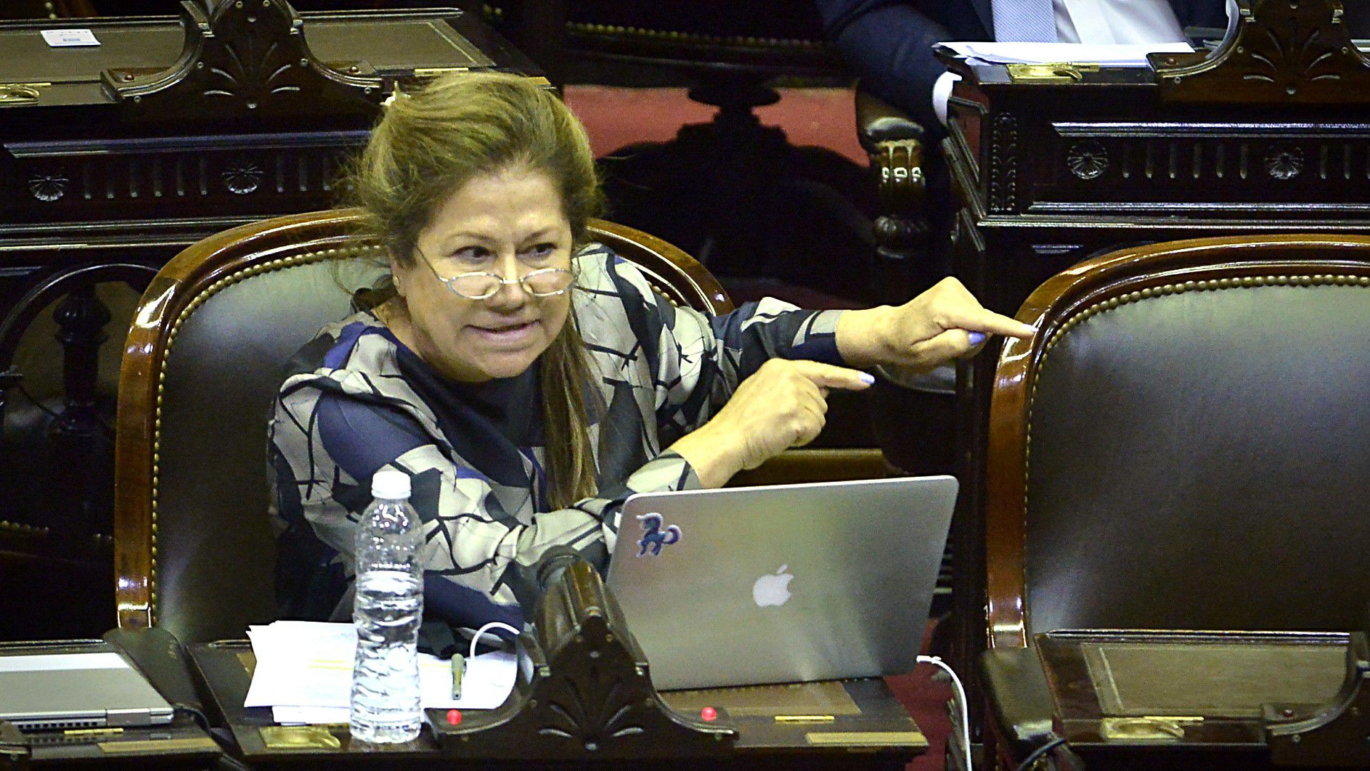 Graciela Camaño (Gustavo Gavotti)