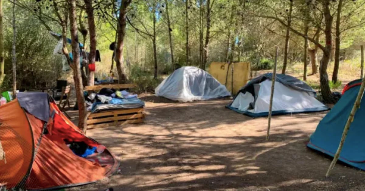 Viver em tendas por não poder pagar a renda em Portugal: “É impossível até trabalhar, ficamos sem comida”