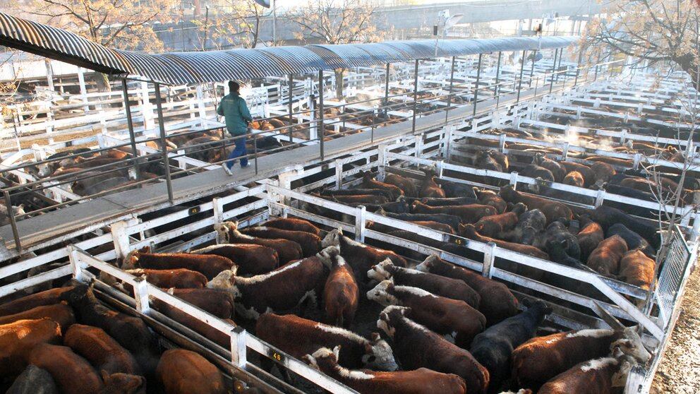 P5ENXKKAYJDAHJP45FFNJA7VAM