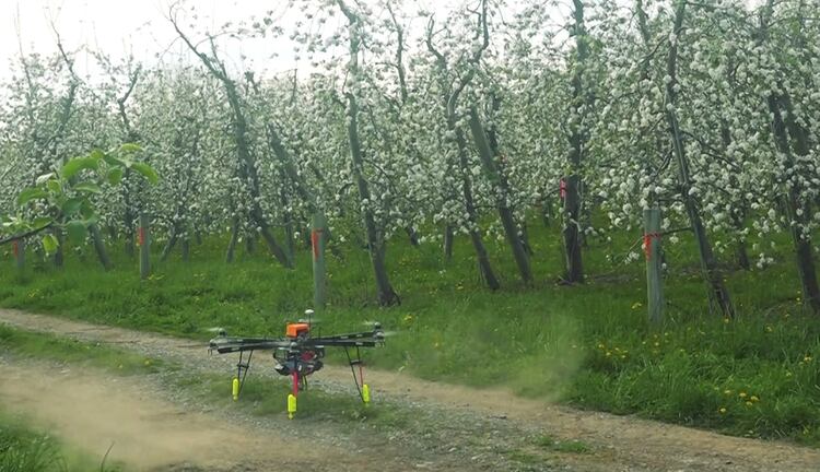 La compañía Dropcopter utiliza drones para polinizar campos.