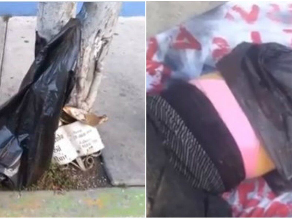 Cartel Jalisco Nueva Generacion El Infame Grupo Criminal Que Asesina Mujeres Para Infundir Terror Infobae