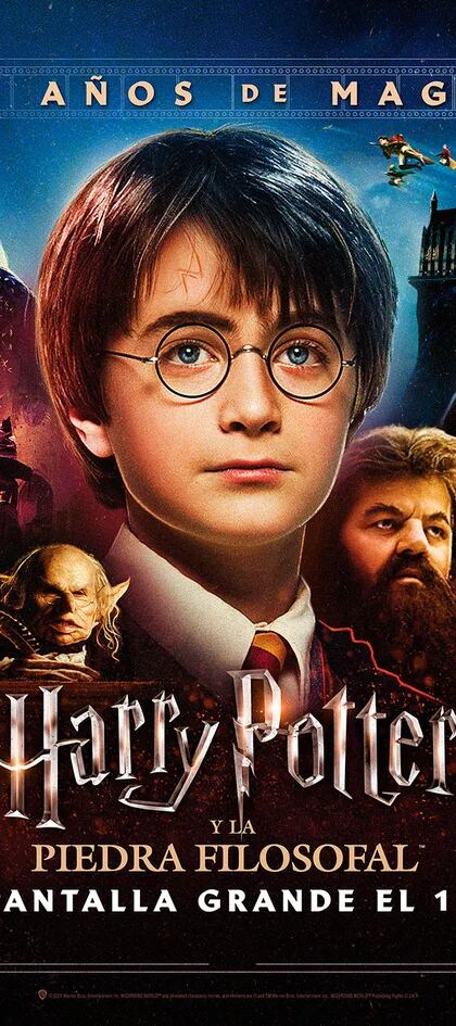 Cumpleaños de Harry Potter - Libros vs películas