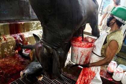 Un trabajador llena un envase con sangre de vaca 