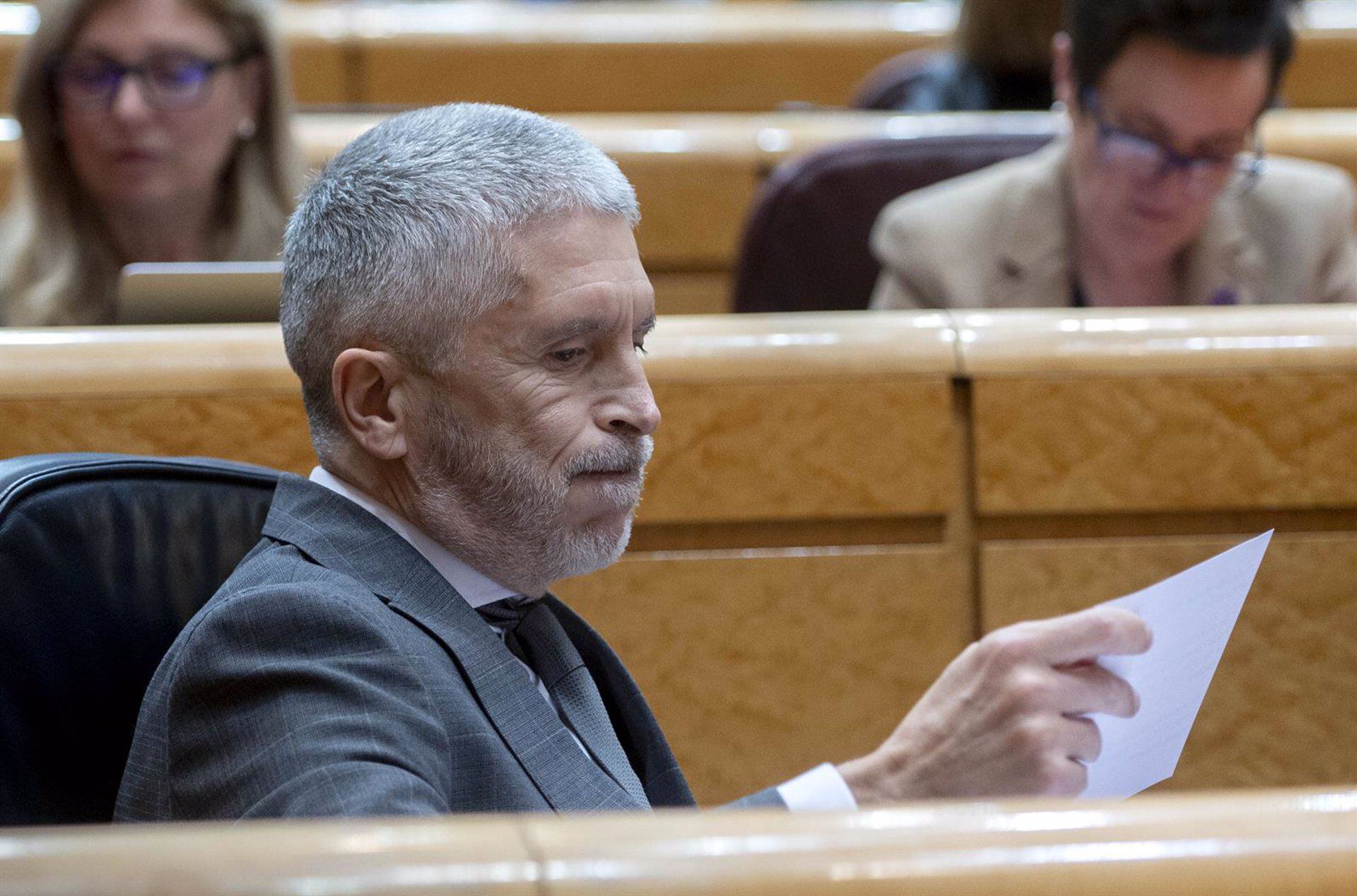 El ministro de Interior, Fernando Grande-Marlaska, durante una sesión en el Senado. (Alberto Ortega/Europa Press)