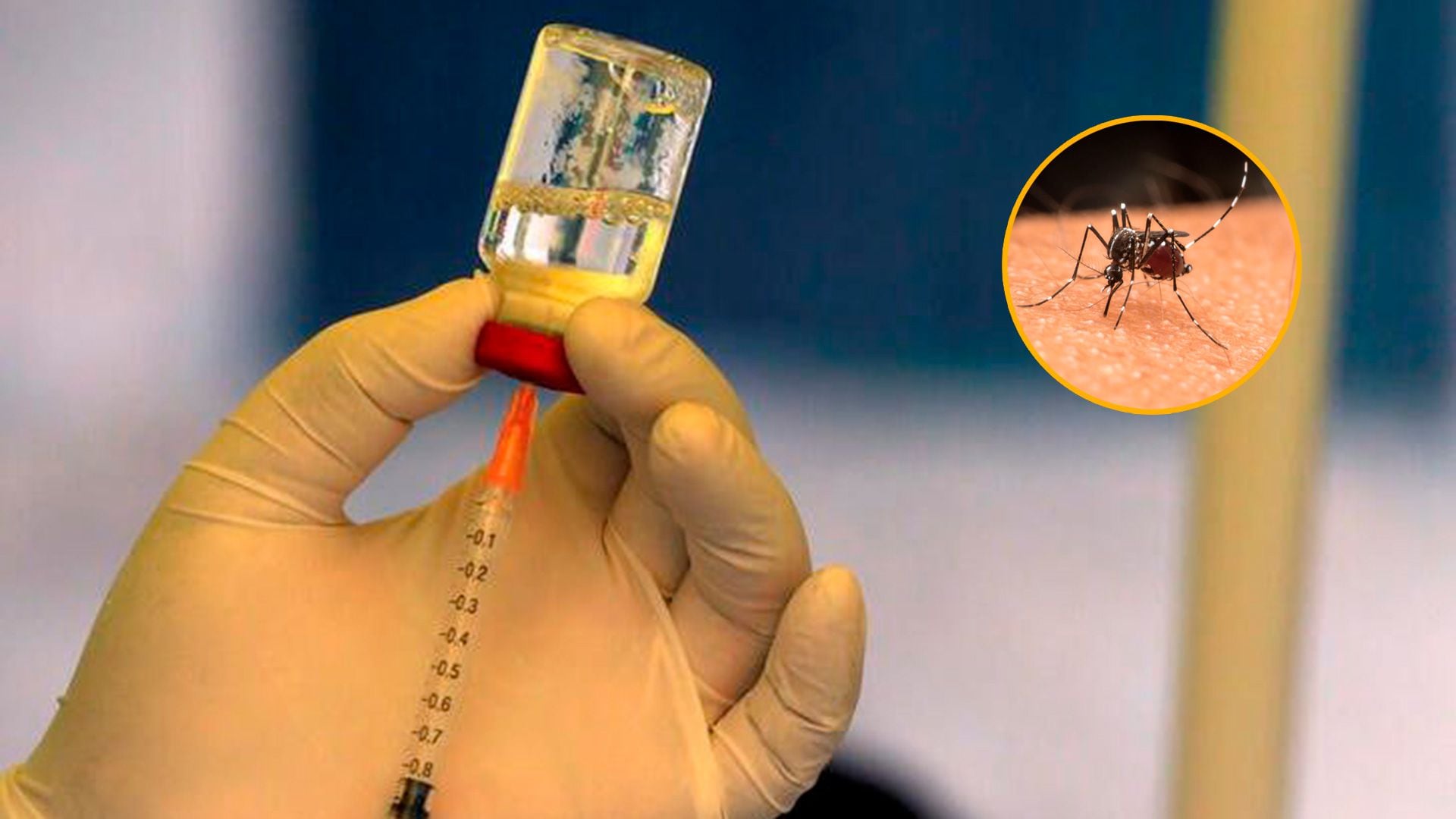 vacunas contra el dengue