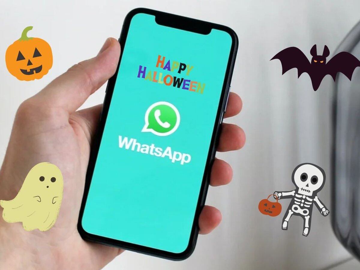 Llegó halloween a WhatsApp, así puede activar este modo especial en su  celular - Infobae
