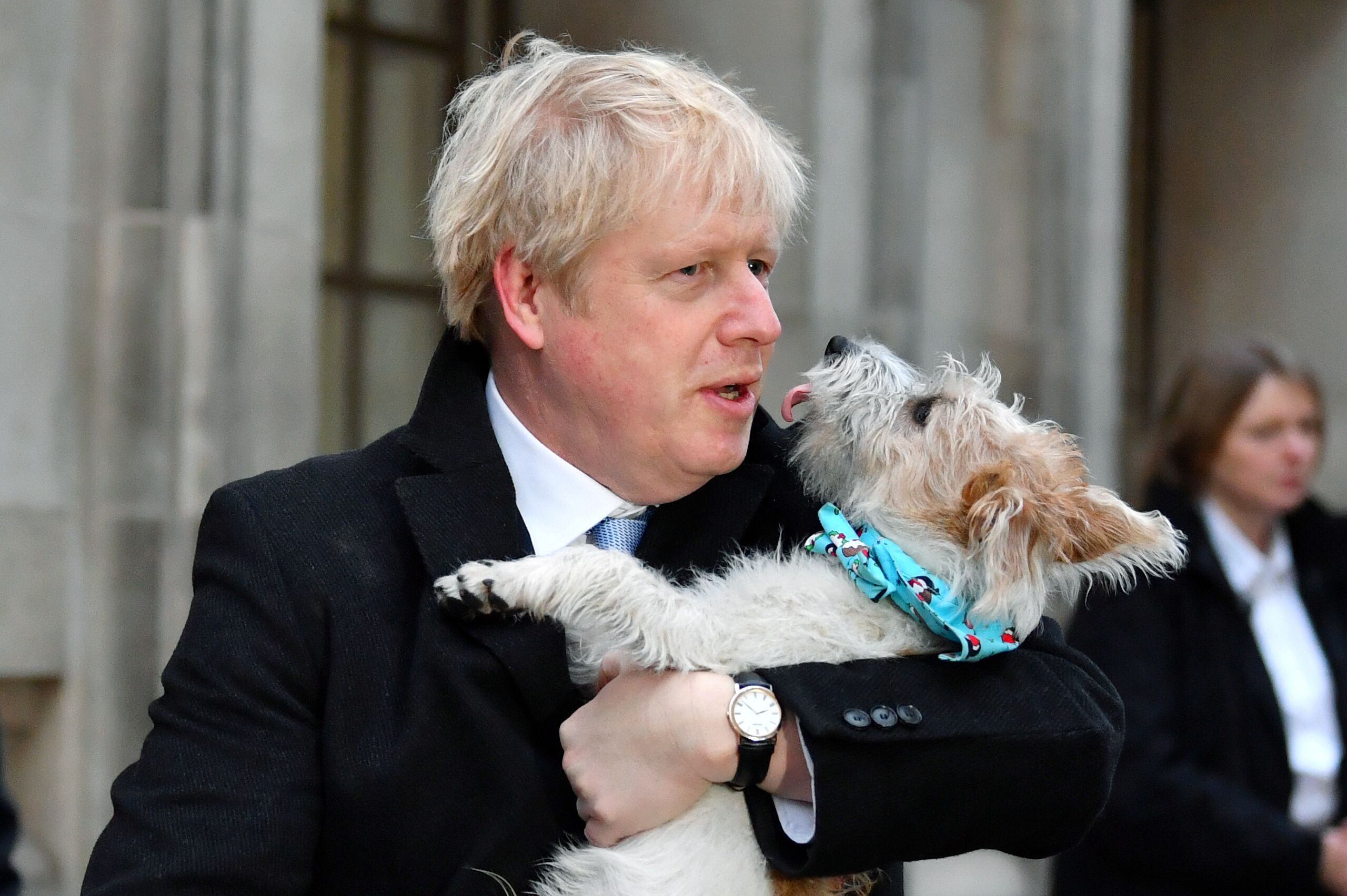 Dilyn, el amado perro de Boris Johnson protagonizó una curiosa historia luego de matar a uno de los cisnes reales. (REUTERS/Dylan Martinez/File Photo)