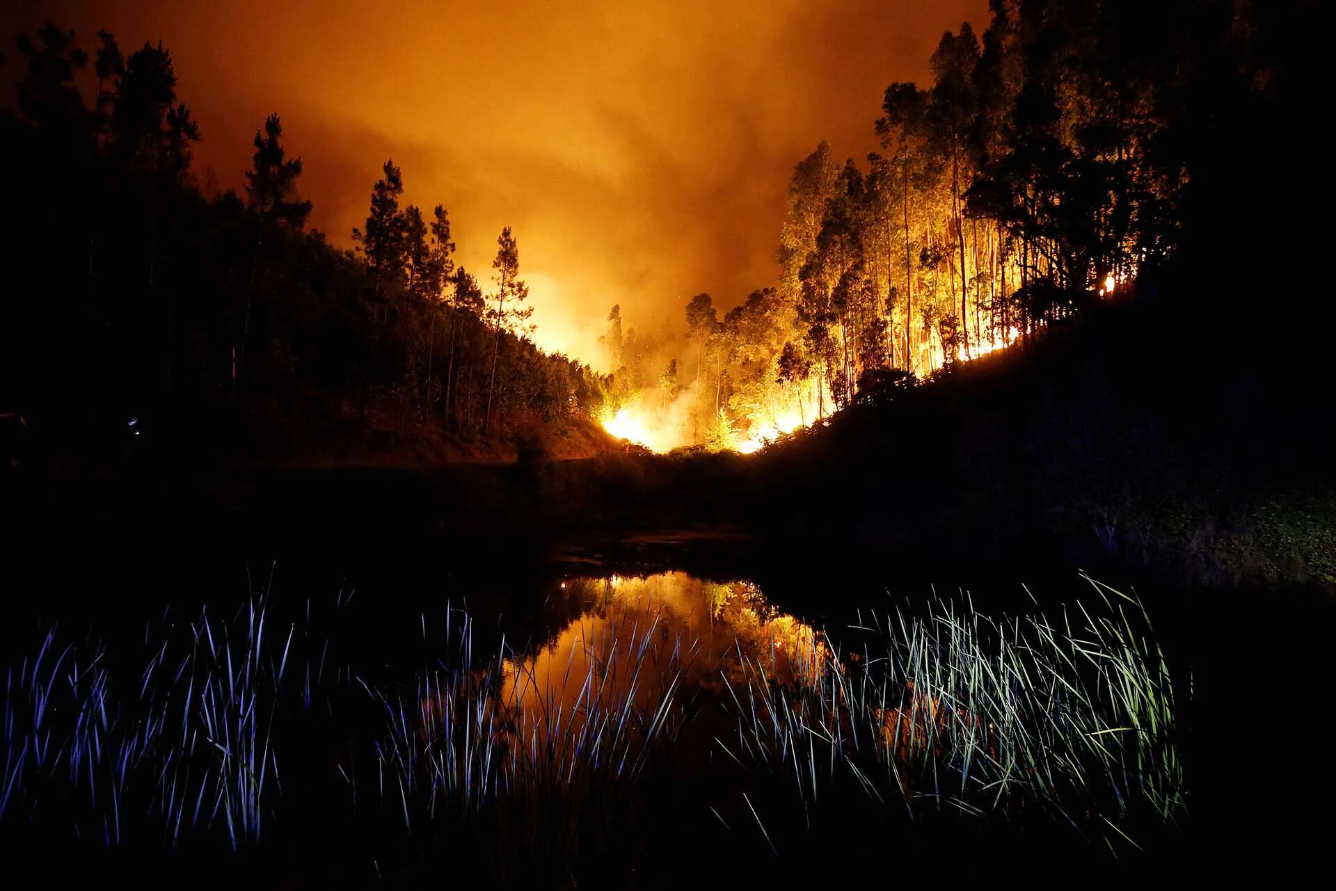 Un gran incendio forestal en Portugal dejó al menos 61 muertos (Reuters)