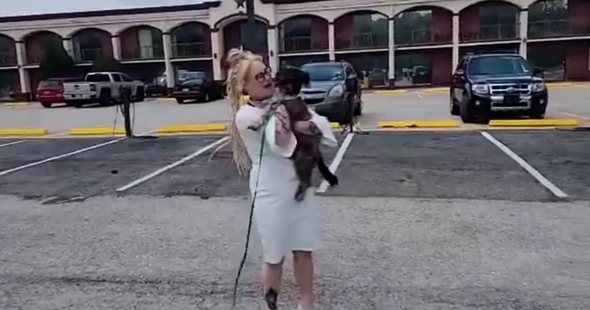 The exciting moment when a lost dog is finally reunited with his family after more than two years