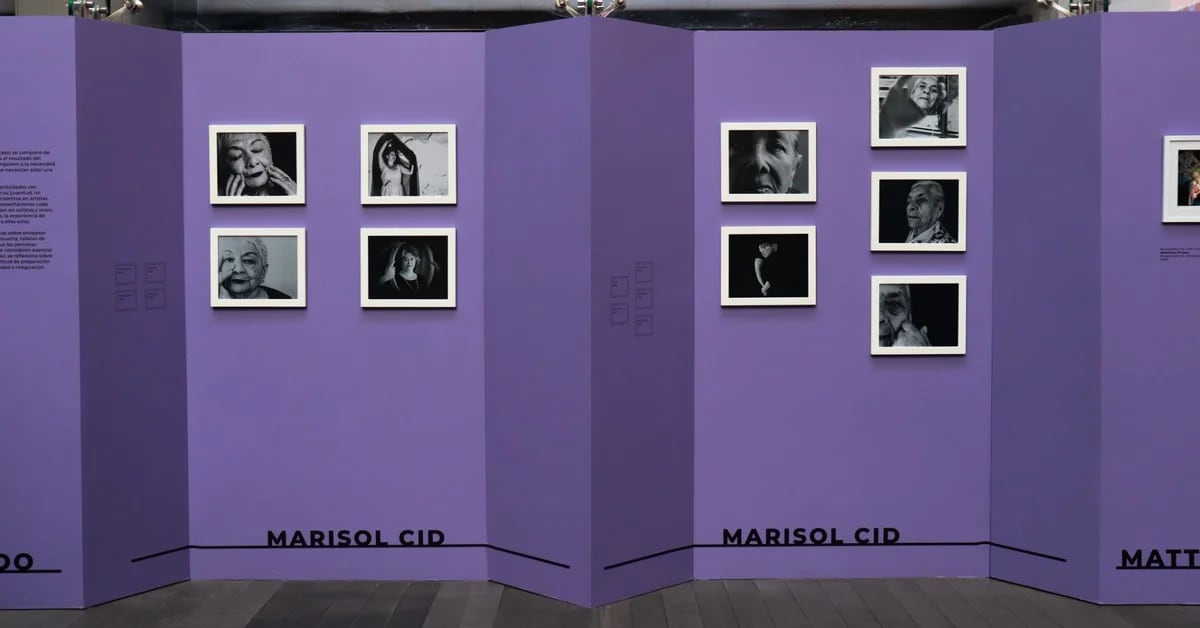 Exhibition inaugurated to make visible the violence against older Mexican women