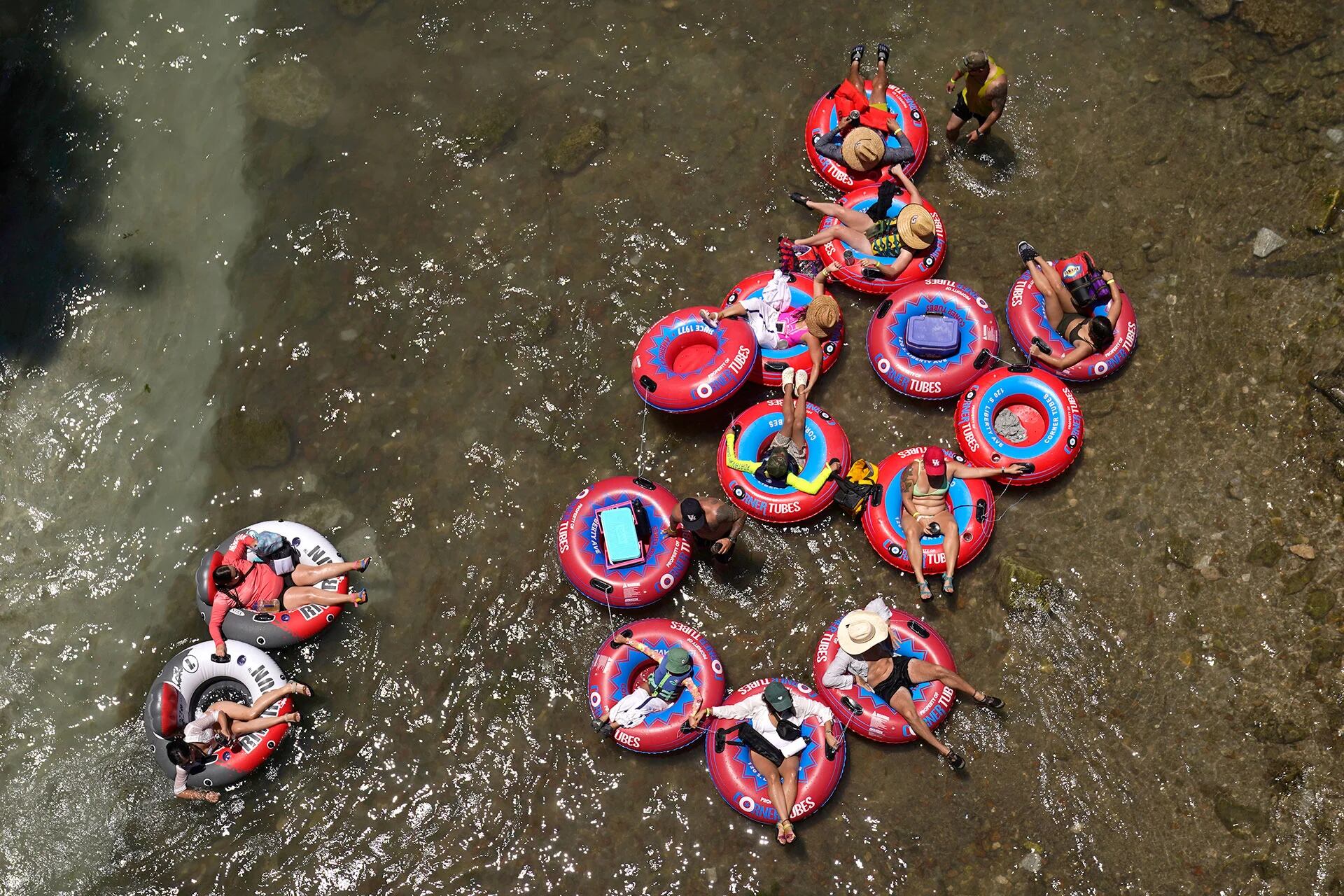 Los tubérculos flotan en el fresco río Comal en New Braunfels, Texas, el jueves 29 de junio de 2023.  (Foto AP/Eric Gay)


