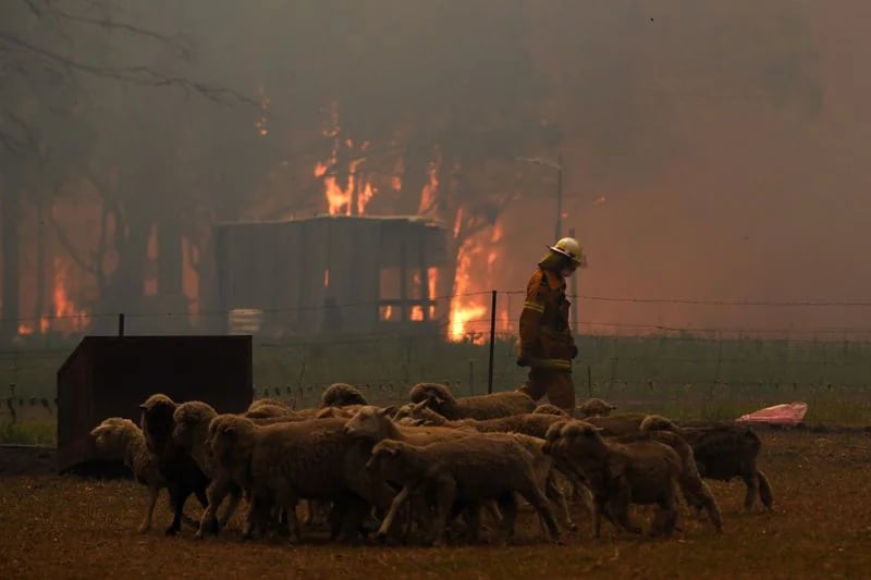 Los equipos del Servicio de Bomberos Rurales (RFS) se dedican a la protección de la propiedad de varias casas a lo largo de la carretera Old Hume Highway, cerca de la ciudad de Tahmoor, ya que el incendio de Green Wattle Creek amenaza a varias comunidades en el suroeste de Sídney, Australia (Reuters)